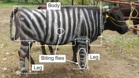 Striped Cattle and Teflon Food Secure Tongue-in-Cheek Research Honors